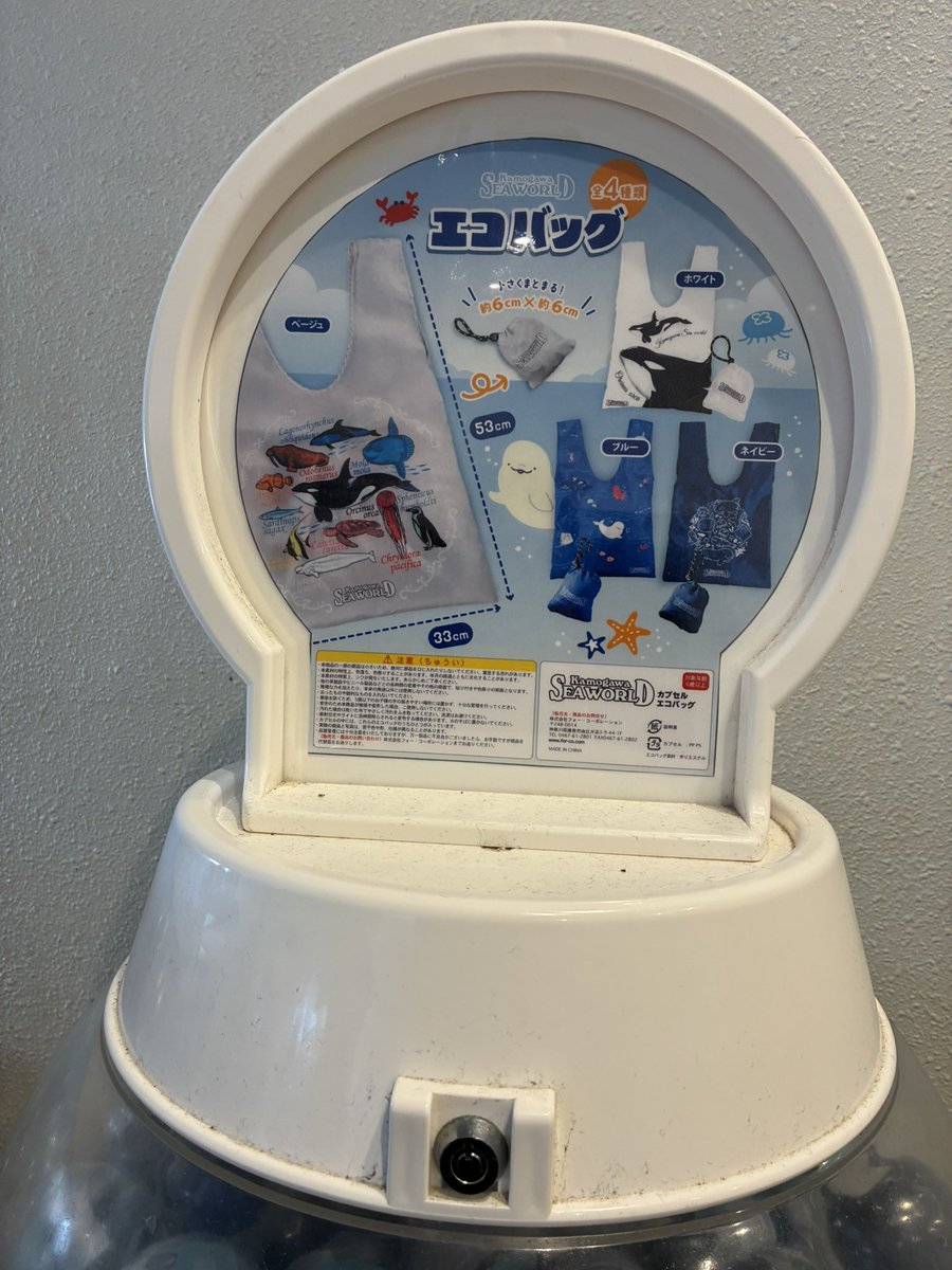 うみいろ(休養中(_ _).。o○) tweet media