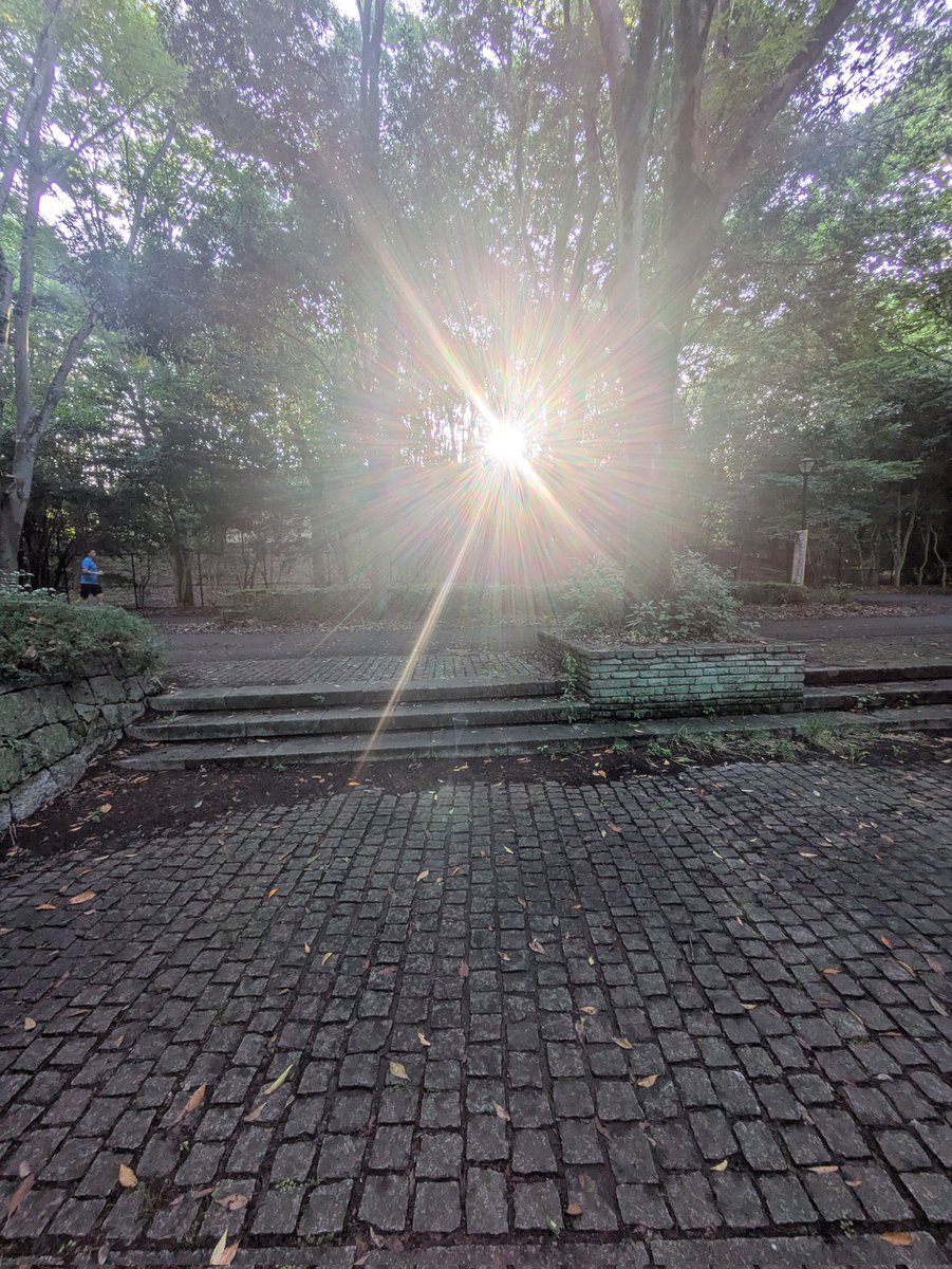renewalhiroko's tweet photo. Xで投稿しようと思ったのは...今の日本が外国に蝕まれてるからです。

有料会員になったのも成る可く多くの日本人に見てもらいたいからです。

一杯日本人に見て欲しい✋✋✋ https://t.co/EFiQJN98yG
