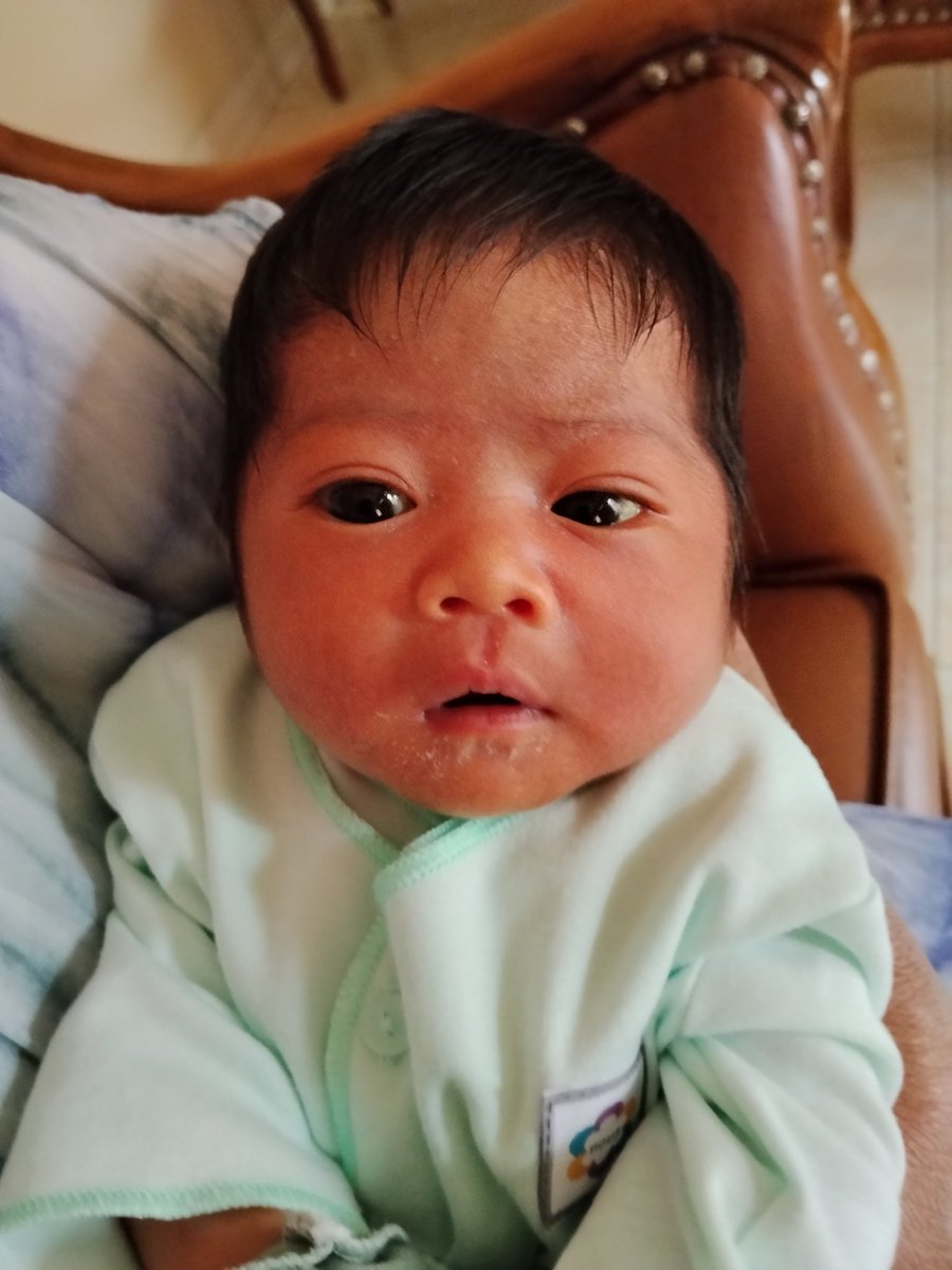 hambur_parab's tweet photo. Halo om dan tante. Nama aku Asteria Alyssia Sidik, kalo susah panggil aja aku "Teya". Maaf yah foto akunya cemong, akunya habis nen https://t.co/vHwDI82pLF