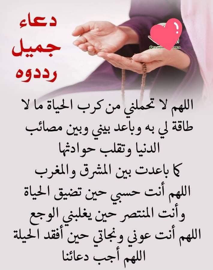 AmiraYouss13682's tweet photo. اللهم امين يارب العالمين https://t.co/GW2O04fF2v