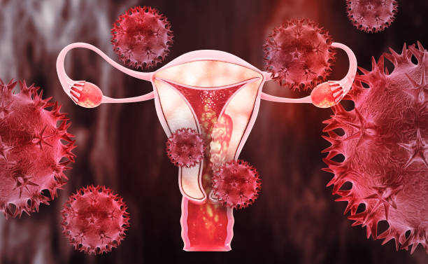 NikkieyStott's tweet photo. One of the most misunderstood health issues in America: 

Menopause. 

It's not just hot flashes and mood swings... 

It's a full-body shift in your hormones, muscle, metabolism, and bones. 

Here's what menopause really is, what it does to your body, and how to take control: https://t.co/2ir22FeqME