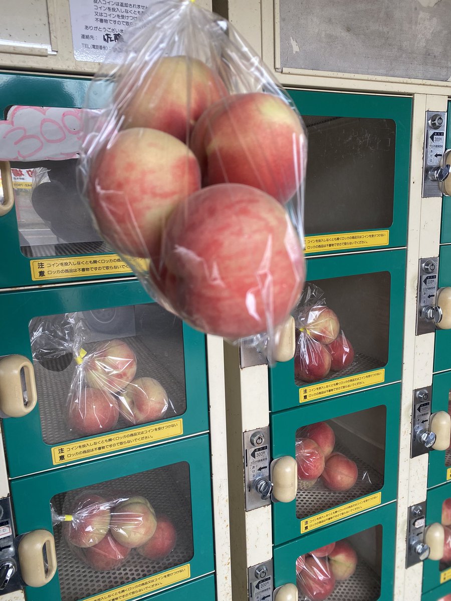 Fukushima_sanpo's tweet photo. 衝撃的なことを伝えます
これだけ買っても2000円しないんです🍑

他県なら5000円はしそうな気が…
桃に恵まれた福島は最高です❣️ https://t.co/6crQBAVGBt