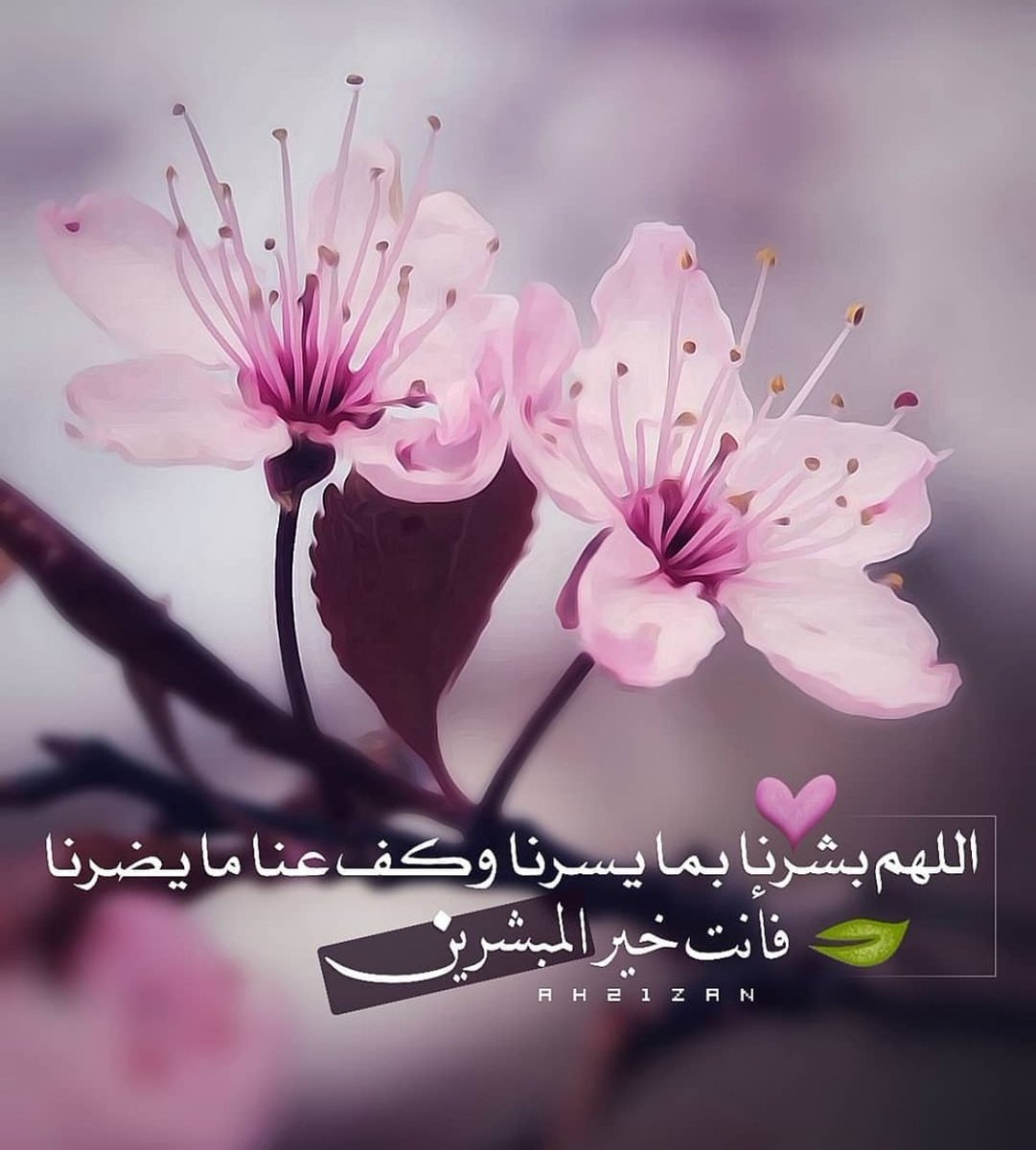 kf20222's tweet photo. كل التوفيق لطلبة الثاني عشر
نتائج مبشّرة ومرضية بإذن الله. https://t.co/G4ZAei2tr3