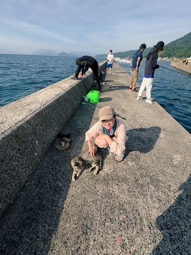 中迎由貴子/ Yukiko Nakamukai tweet media