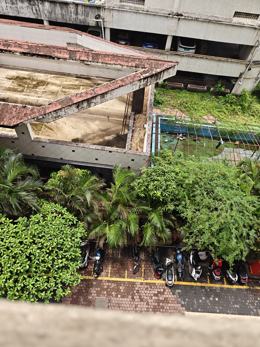 Chemburbjp's tweet photo. This is Bhaktipark Sector 4 swimming pool next to Circle busstop closed since last 5 years . This space Maintaince comes under Ajmera but he is not ready to clean this space . Mosquito breeding happening @Tukaram_IndIAS @mybmc @mybmcWardMW @mybmcSWM @CMOMaharashtra @TawdeRitu https://t.co/sSprrFSmkO