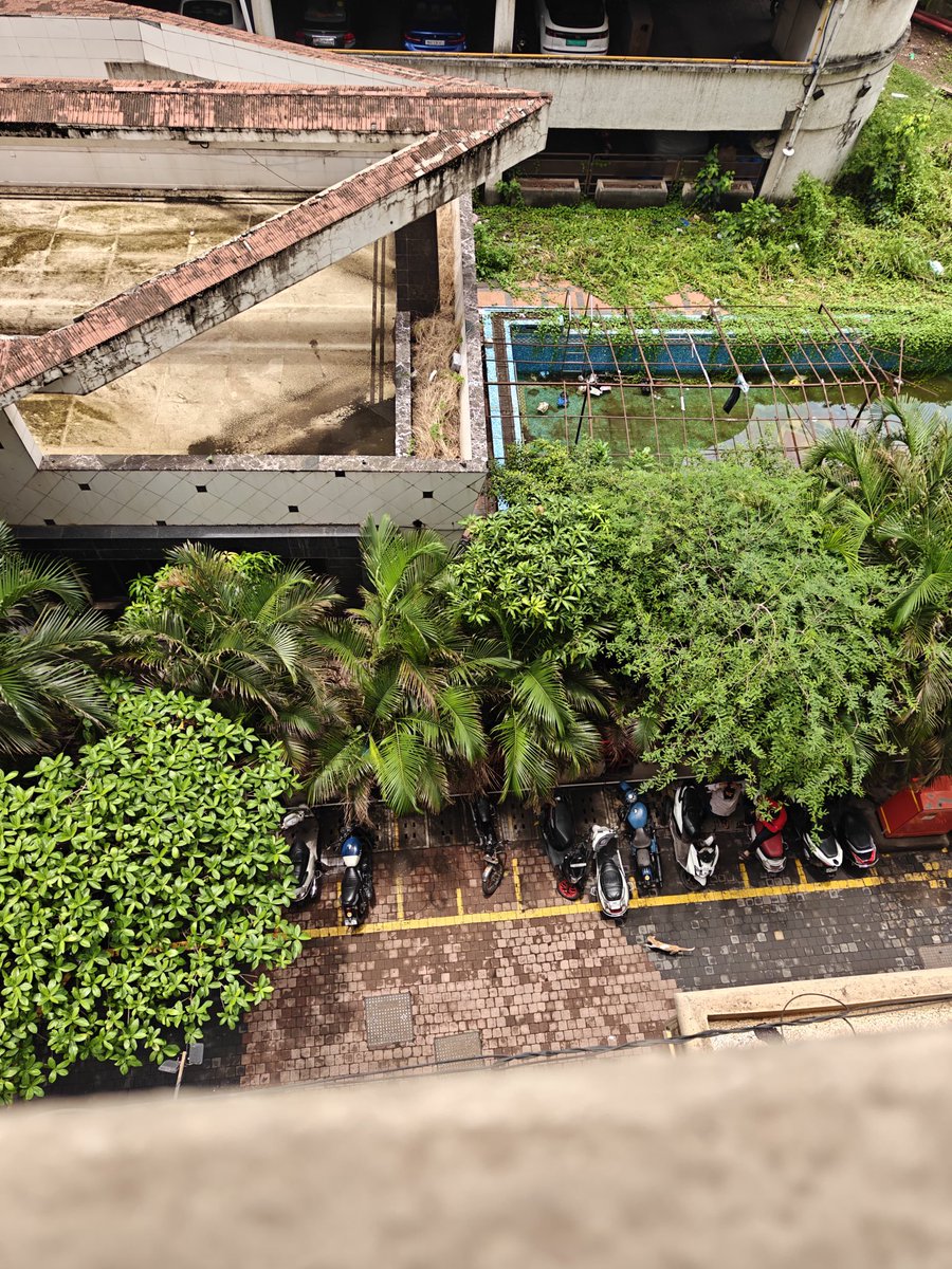 Chemburbjp's tweet photo. This is Bhaktipark Sector 4 swimming pool next to Circle busstop closed since last 5 years . This space Maintaince comes under Ajmera but he is not ready to clean this space . Mosquito breeding happening @Tukaram_IndIAS @mybmc @mybmcWardMW @mybmcSWM @CMOMaharashtra @TawdeRitu https://t.co/sSprrFSmkO