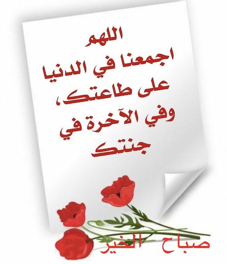 hesaah77's tweet photo. @SSA14401 ومن لا يشكر الناس لا يشكر الله ولكم جزيل الشكر والتقدير بارك الله فيكم وفي جهودكم وجزاكم الله خير الجزاء رفع الله قدركم في الدارين يارب العالمين اسأل الله لنا ولكم التوفيق والسداد قروب #الكلم_الطيب https://t.co/3uhokuv0kK