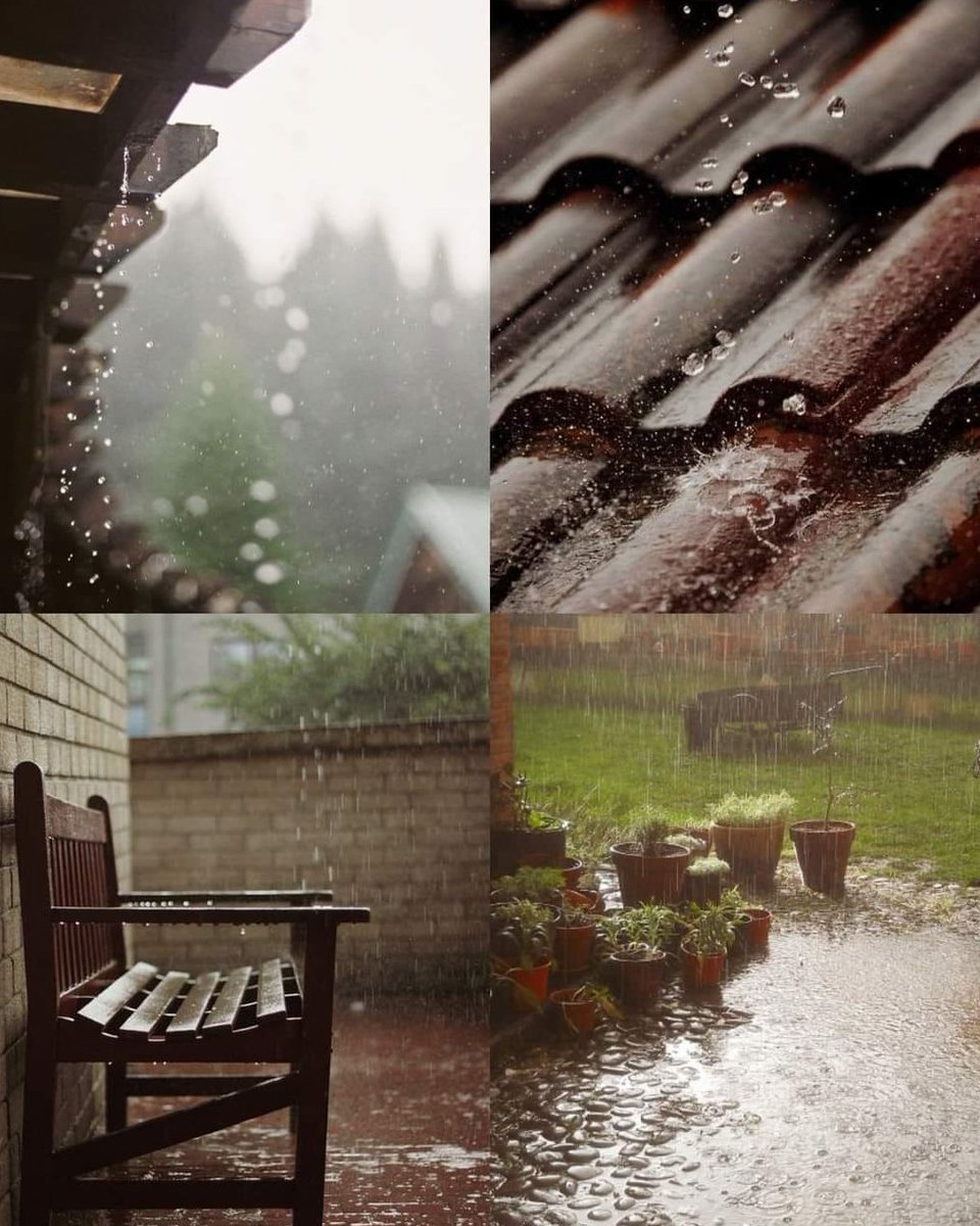 aestheticspost_'s tweet photo. Rainy day. https://t.co/yUG65wvX7f