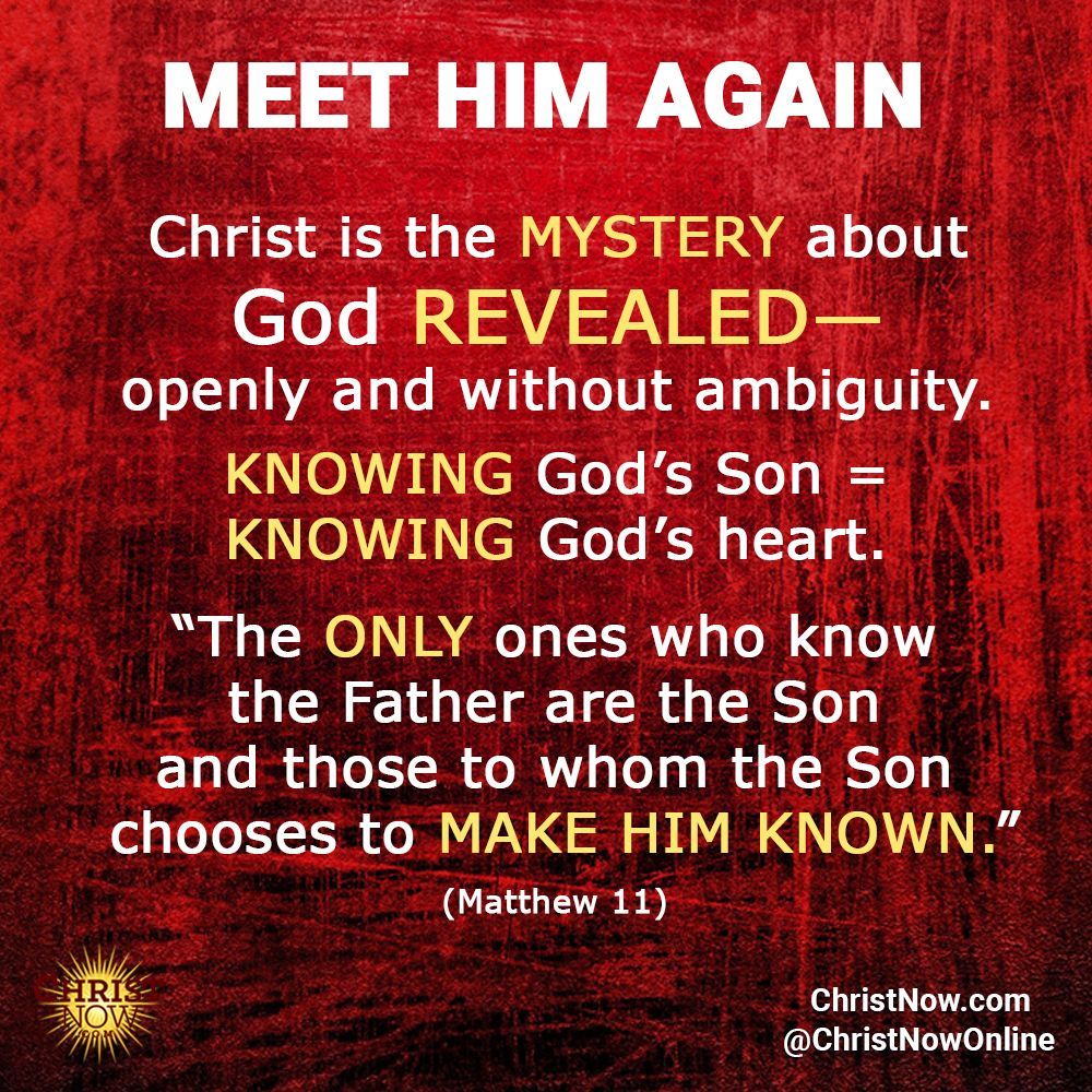ChristNowOnline's tweet photo. #MEETHIMAGAIN
#jesus #christ #christianity #faith #bibleverses #jesusisking #godislove #christnow #christawakeningmovement #spirituallife #gloryofjesus https://t.co/OSKKcNx50k