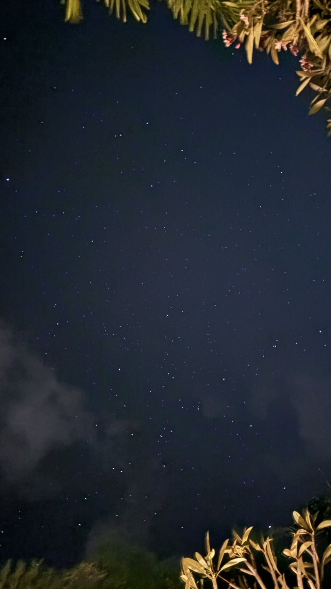 coraliabali's tweet photo. Tunggu maleman ato dini hari pasti makin kerlap kerlip.
#starparty #balitimur https://t.co/sjGbWfcdBm