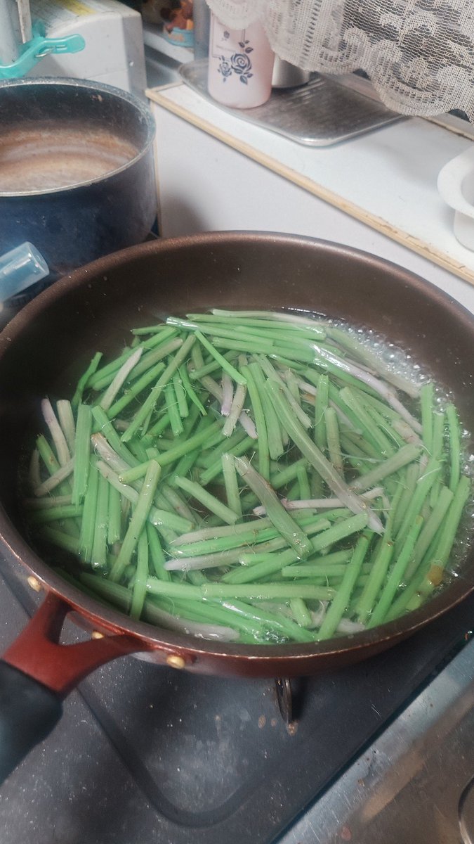89miyou's tweet photo. そんでもって、家に帰って
みずの山菜届いてたので早速茹でて漬物にWWW
めっちゃ色が変わるの面白い！ https://t.co/67nD0xPdo6