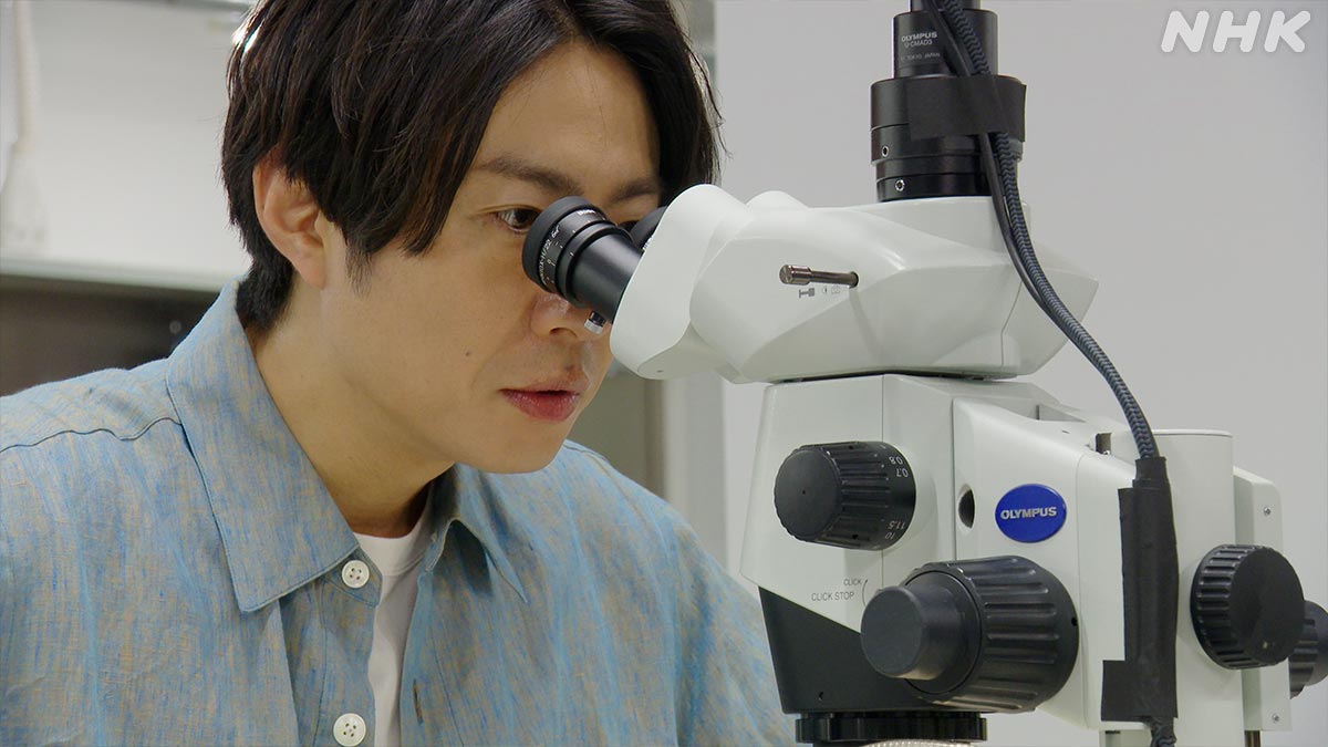 nhk_darwin's tweet photo. 【相葉さんと探せ！ミクロいきもの超ワールド】

＼相葉さんが新種発見！？／

相葉さんが新種発見に挑むのは、
その名も『メイオベントス』です！

メイオベントス、メイオベントス･･･

何度も唱えて覚えてね！

https://t.co/LvVjfyaPDB
⏰19日 日曜夜7時30分～

#ダーウィンが来た #相葉雅紀 https://t.co/UJDrXgi7SH
