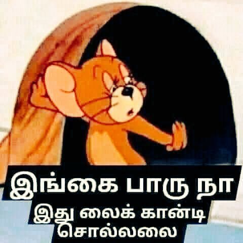Arun K (MAK) tweet media