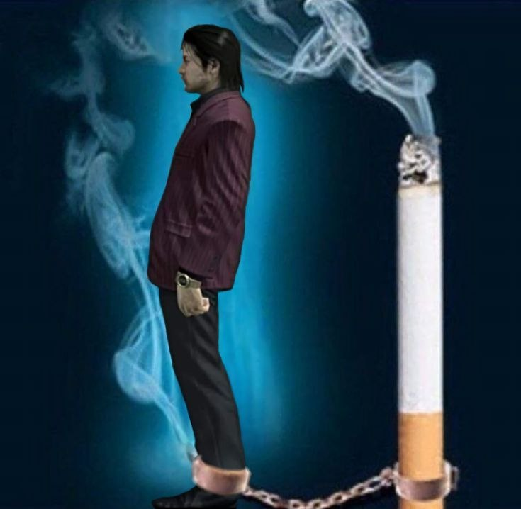 romah tweet media
