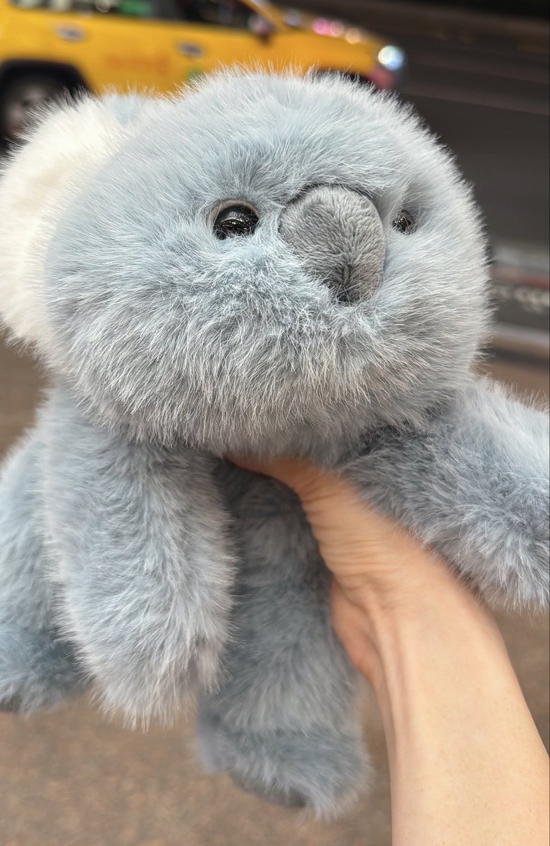 台湾コアラぬいぐるみ 台湾着いて最初に買ったもの 1万円のコアラ 残金60元