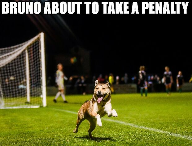 da_bonuskoder's tweet photo. https://t.co/hoG9nuJ7A3 #funnymemes #sport #football #penalty #bruno https://t.co/uCsmQqnUW1