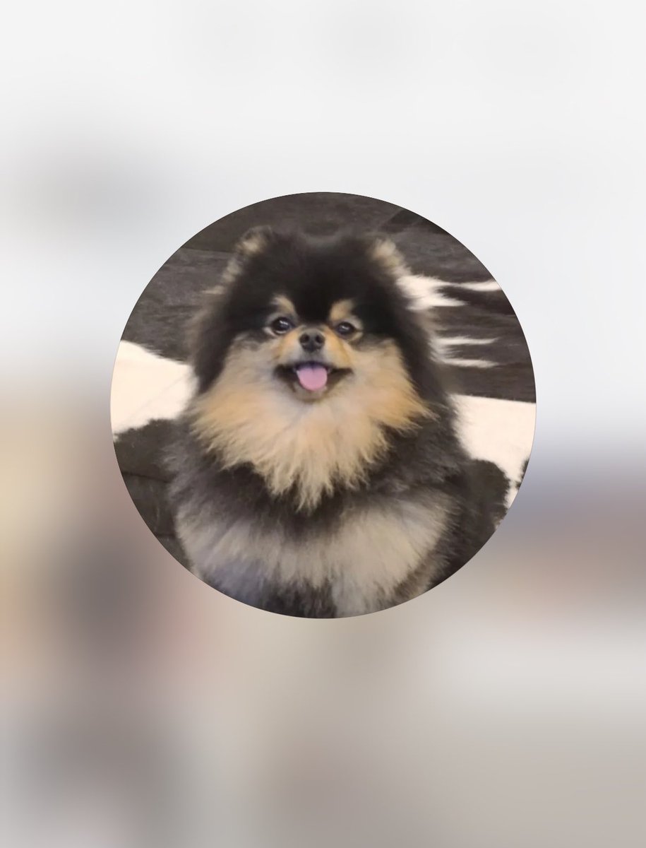 ahgasela's tweet photo. OH THIS IS SOOO CUTE 😭😭😭 taehyung aka V commented under JAKE and KENNETH challenge 

🐯: your hair looks cool. it looks like my profile picture 

jake never skipping puppy allegations 😭🤏🏻 https://t.co/18wUTJK5wV