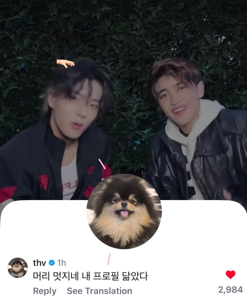 mymiyjake's tweet photo. น่ารักกอ่ะ5555555 วีเม้นคลิปเจคเต้นบอกผมเจคเท่จังเยยเหมือนโปรไฟล์ของวี = ยอนทัน 🤣🫳🏻🐶 https://t.co/6W5rACLoOT