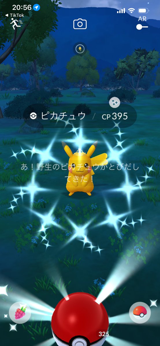 maruo231's tweet photo. 家に色ピカいてた！
 #ポケモンgo
 #ポケモンgoしている人と繋がりたい 
 #ポケモンgo好きと繋がりたい https://t.co/Rpd7fQjybJ