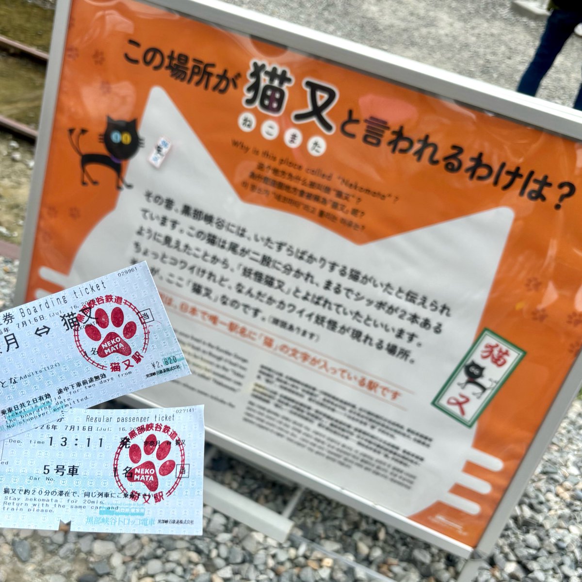 highne9301's tweet photo. 切符にスタンプも押せてかわいい🐈🐾
そんで海上とか山奥でGoogleマップ開いて
今こんなとこにいるのね…ってするのが好き https://t.co/tlIIKHFoO5