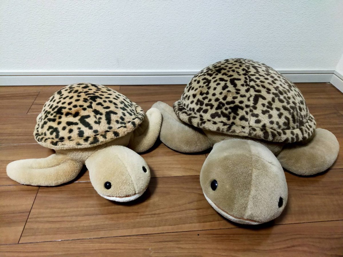 watanabe_1984's tweet photo. ① 9/13イベントの写真撮影で使いたく探していた地域対抗の時の🐢🐢が見つかりました！
ABEMAさん、ありがとうございます🙇🏻

②たみおくん(右)の出番かと思ったのですが、それはまた今度にします🐢 https://t.co/fcyRS64NEU
