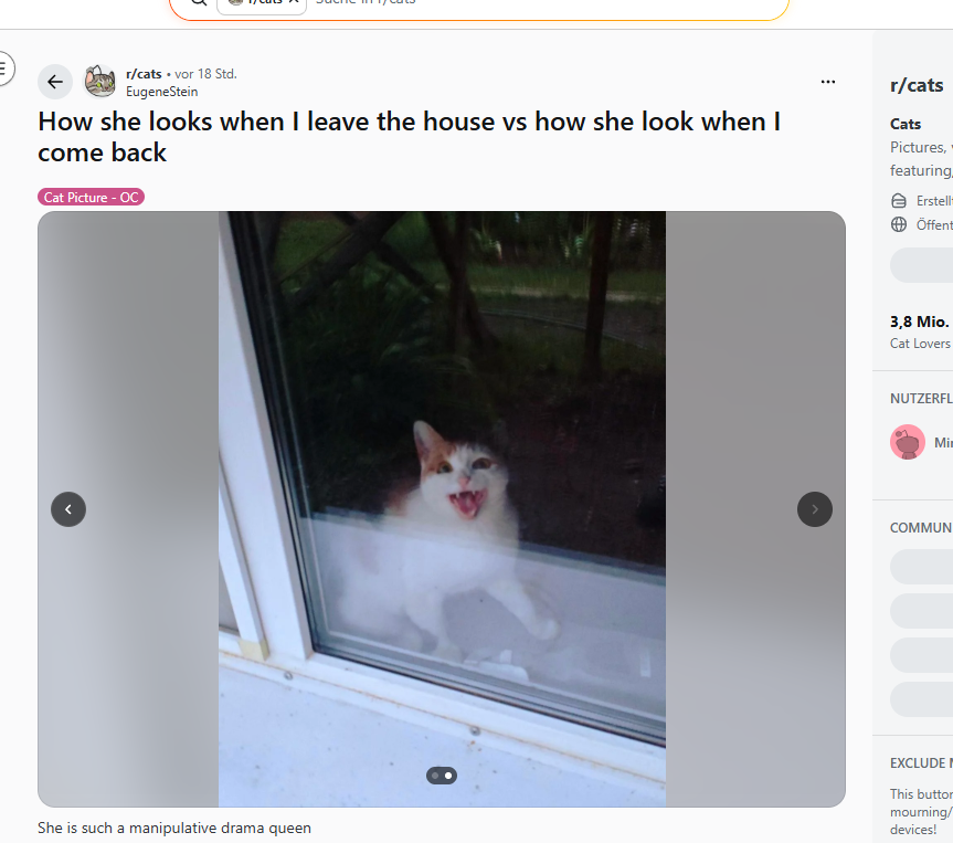 nely_1676's tweet photo. This is literally the next Roaring Kitty https://t.co/fNCpCe44dW