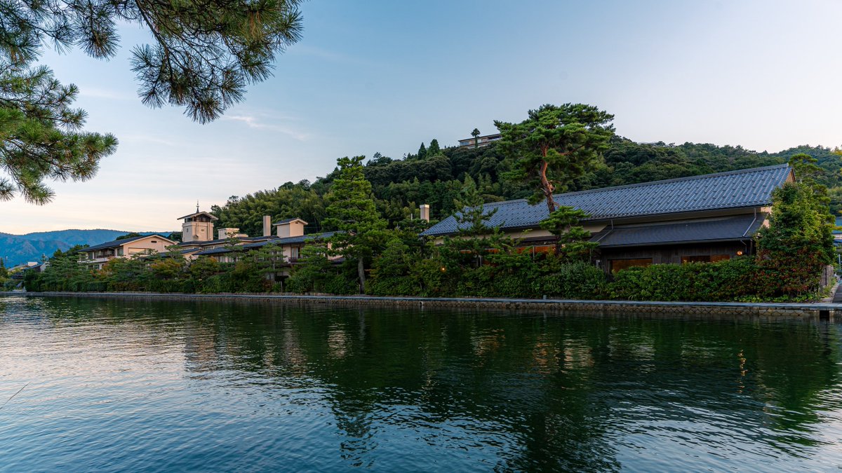 cospernda's tweet photo. 水と緑に囲まれたこの旅館、めっちゃ居心地よさそう！

窓の外には松並木と水辺が広がってて、
館内も広くて落ち着いた和の空間。

夜は丹後の旬の料理、美味しそう😳 https://t.co/6ejjnYl0cr