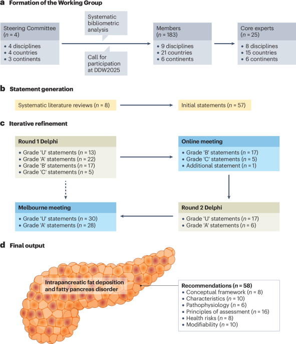NatRevGastroHep's tweet photo. New online! Conceptual framework and expert guidance on intrapancreatic fat deposition: the Melbourne consensus https://t.co/SR7KlseOYz https://t.co/VyJZllJ9GA