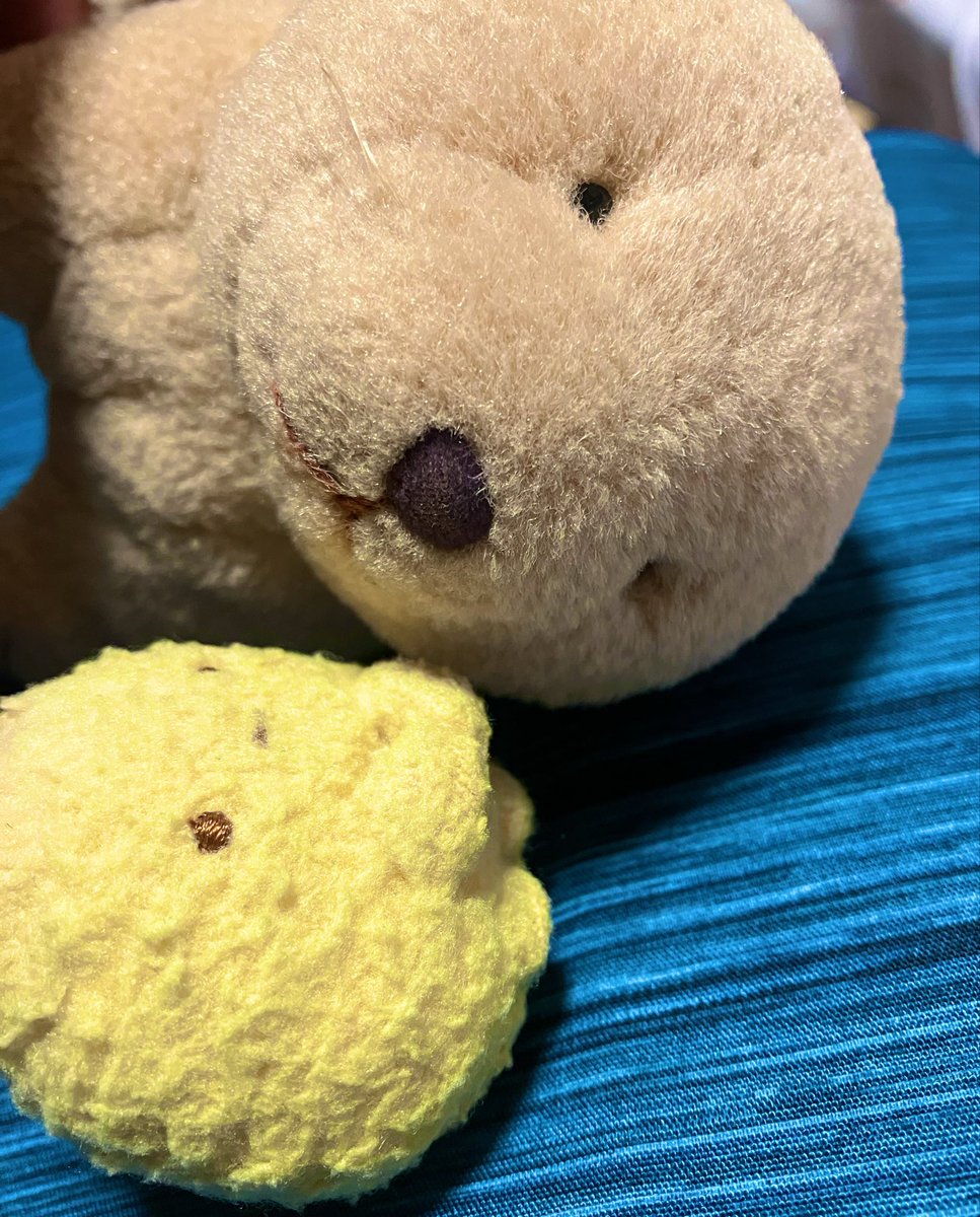 pirin_cute's tweet photo. ねーるーよ https://t.co/BbvtjKDsWC