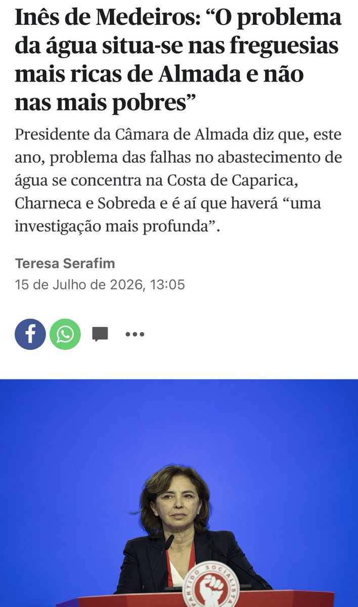 Sofia Afonso Ferreira tweet media