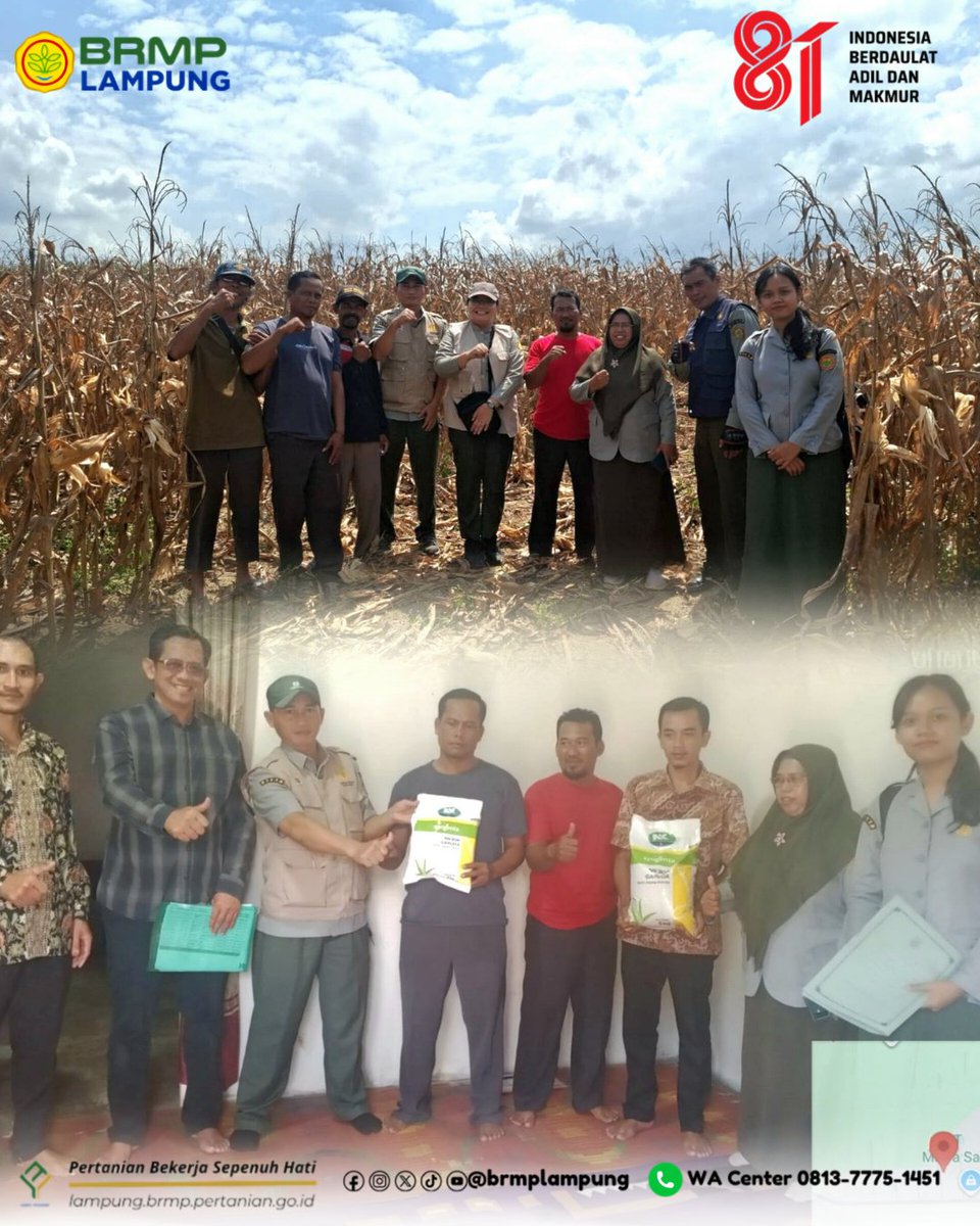 BrMPLampung's tweet photo. Right on Target, BRMP Lampung Kawal Salur Benih di Tubaba

Tabikpun!
Salam dari Bumi Lampung 🙏

BRMP Lampung serious mode on !
Pastikan tepat sasaran, BRMP Lampung melaksanakan pendampingan penyaluran bantuan pemerintah (banper) berupa benih jagung di Kabupaten Tubaba https://t.co/Wv3RJUAZIA