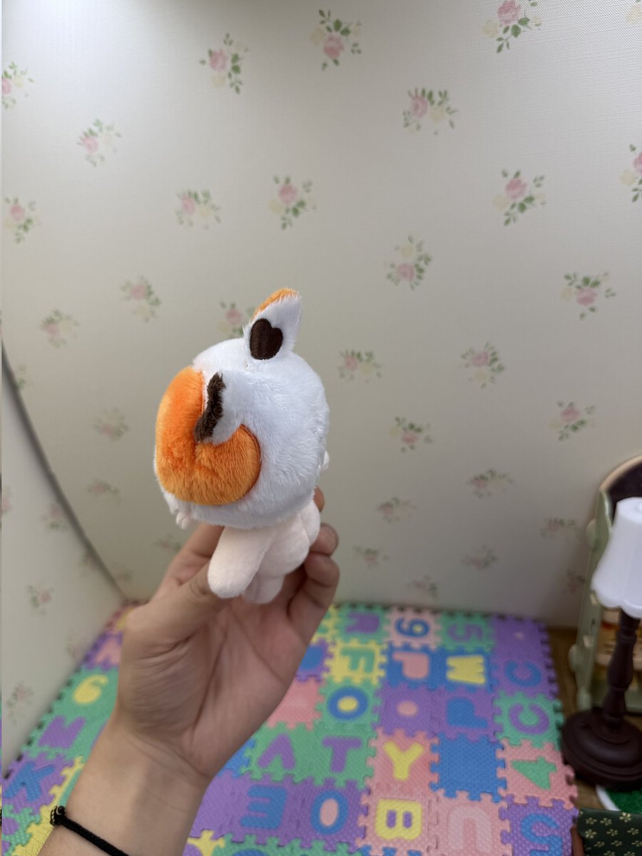 NuniDoli's tweet photo. 머리하트 대성공 🥹🤍🖤🧡

삼색냥 어서오렴! https://t.co/73oN4lbCaT