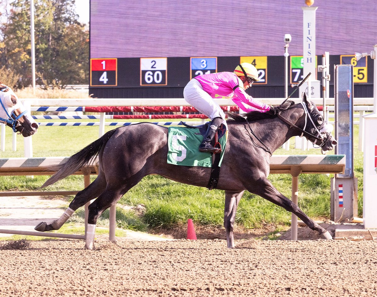 Equibase tweet picture
