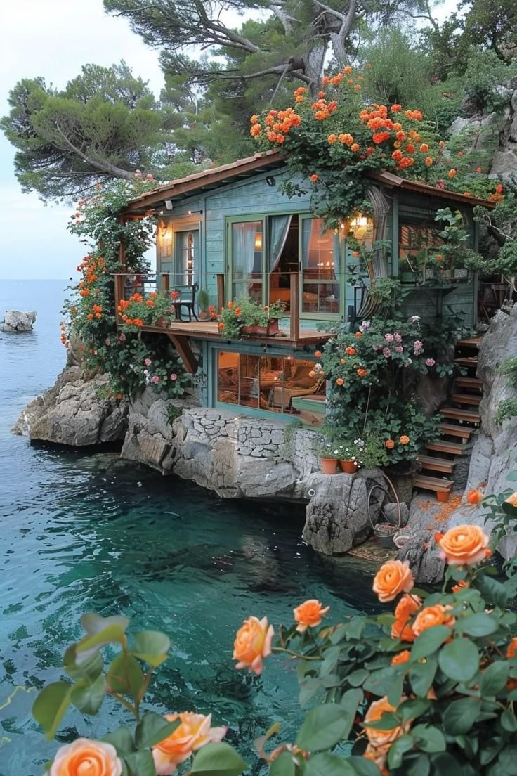 Brad_S_M's tweet photo. Good morning 🌹 https://t.co/gbu4BeIbtf
