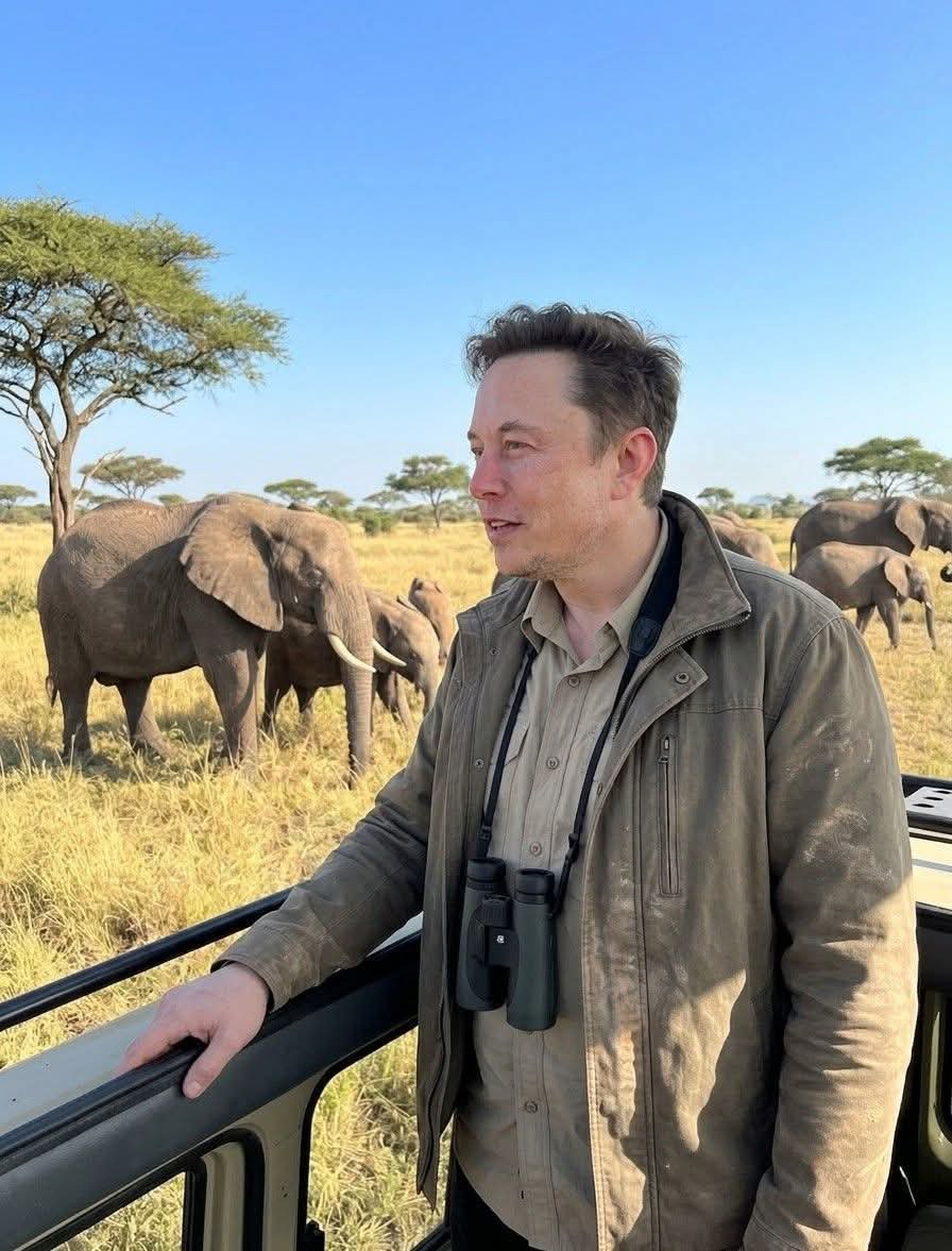 mackron353's tweet photo. What do you think Elon Musk enjoys more?

A. 🦁 Nature 
B. 🚀 Technology https://t.co/fm4g2WSvy1