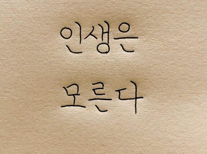 코루🍊 tweet media