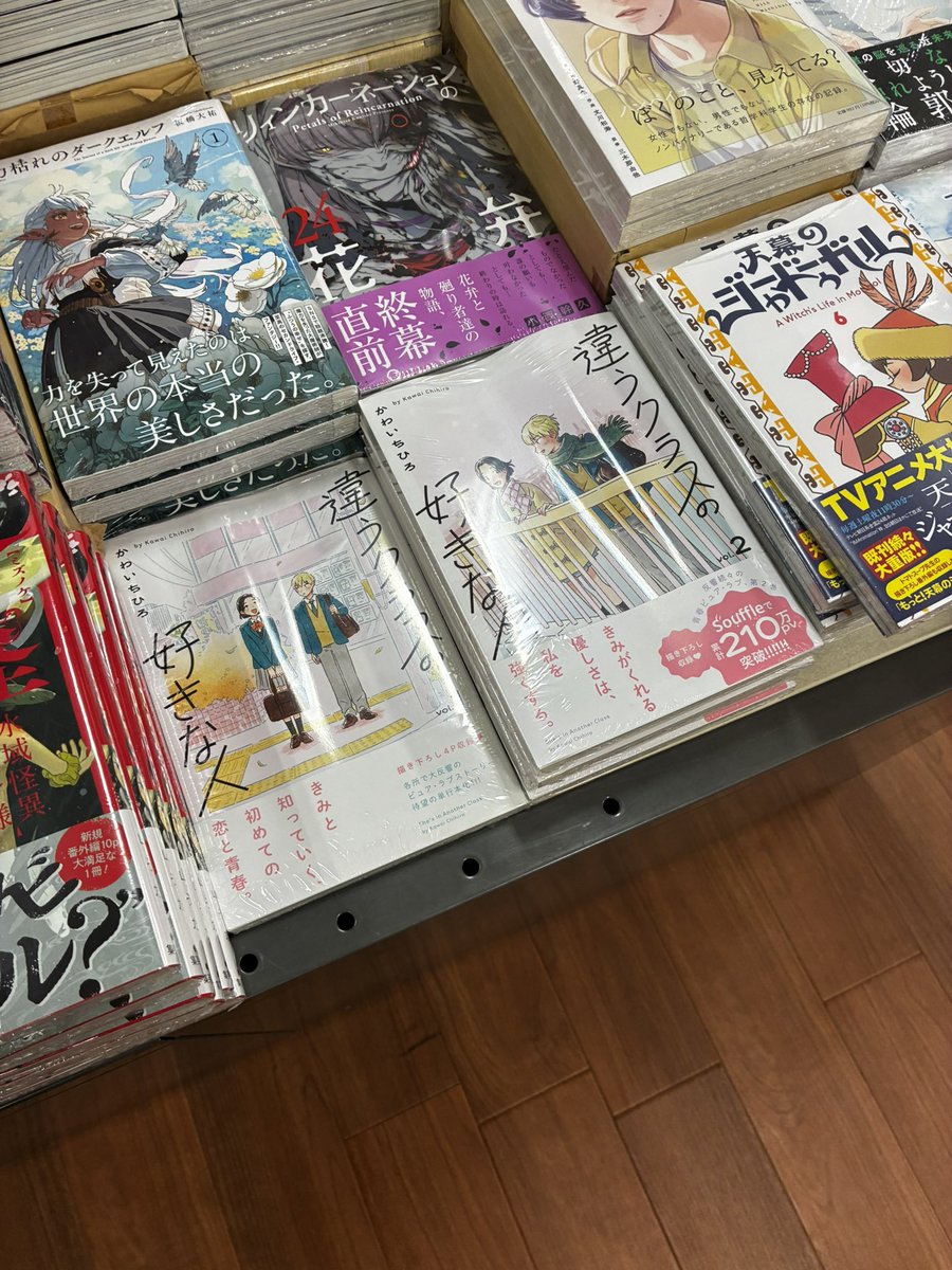 kasuga_aoi's tweet photo. かわいちひろ先生
「違うクラスの好きな人」(秋田書店)
2巻入荷しております。

リーマンミーツホスト(講談社)の担当編集の方が来店くださり、この売場の写真を撮られていって、暖かい気持ちになるなどしました。 https://t.co/03jqdXf6ga