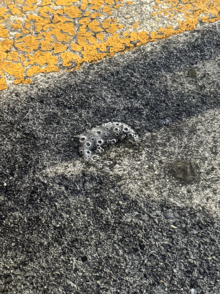 hoppyloppy9235's tweet photo. 目の前で20代くらいのイケメンリーマンが唾吐いて困る。(ありがとう) https://t.co/4eskPDVxcM