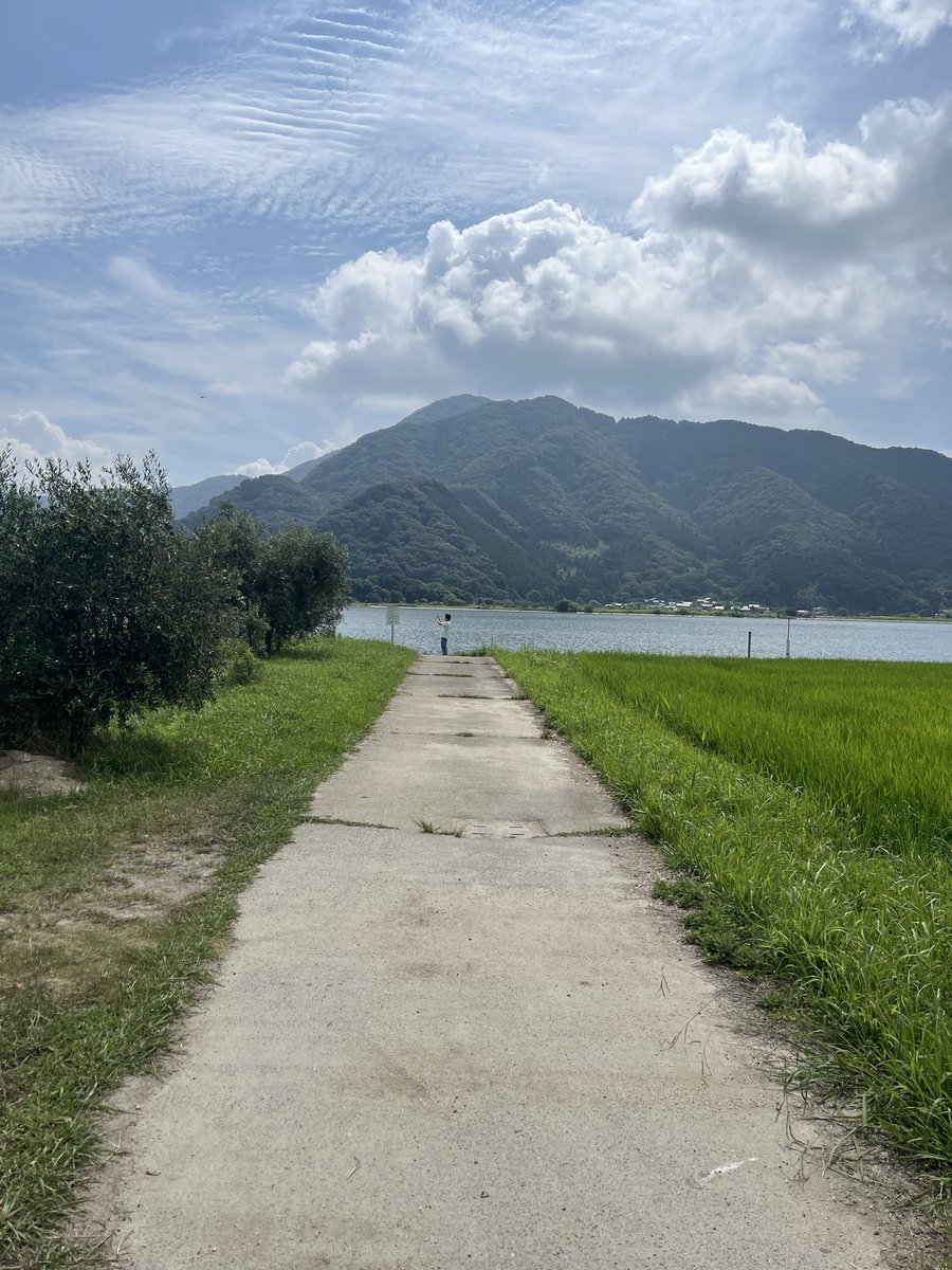 egokun's tweet photo. 僕の夏休み感 https://t.co/Ryq9Wan30S