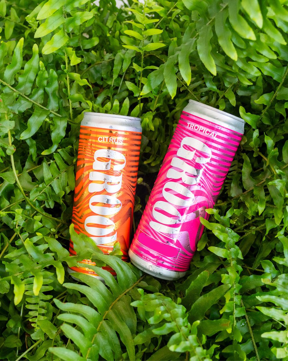 Connecticut Valley Brewing Co. tweet media