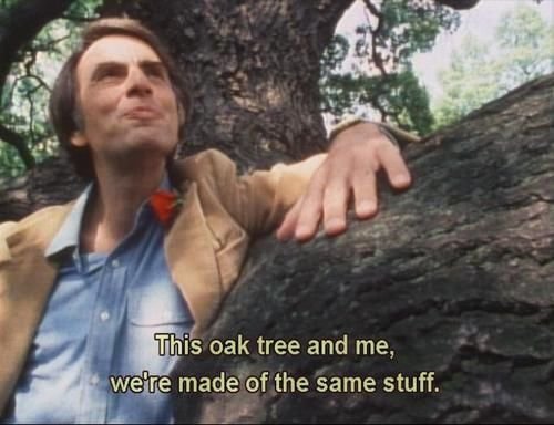 CosmicAnik22's tweet photo. "We Are,
All StarStuff"

- Dr. Carl Sagan✨️ https://t.co/GfyaDE3Kvg