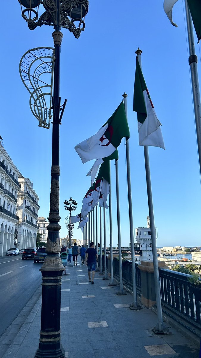 HH 🇩🇿 tweet media