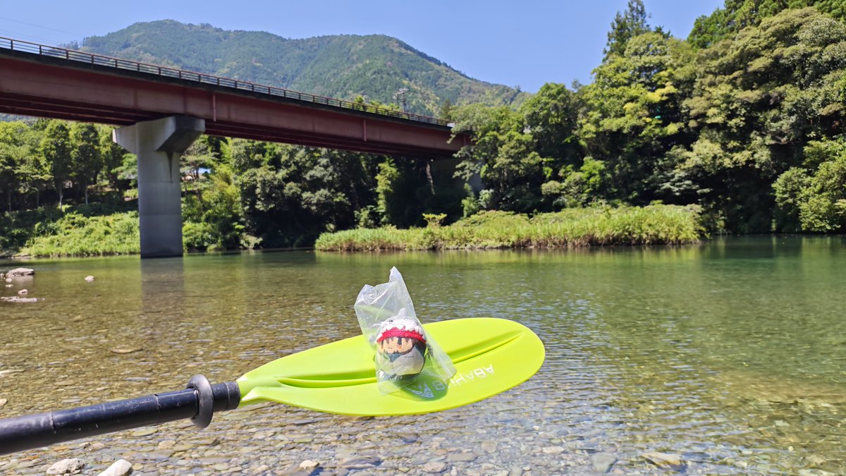 chorogiin's tweet photo. この夏もダムに水がいっぱい貯まるよう仁淀川にさめを捧げてまいります

🦈さめなんか捧げても雨は降らない！！考え直せ！！！ https://t.co/haCvfkwKWu
