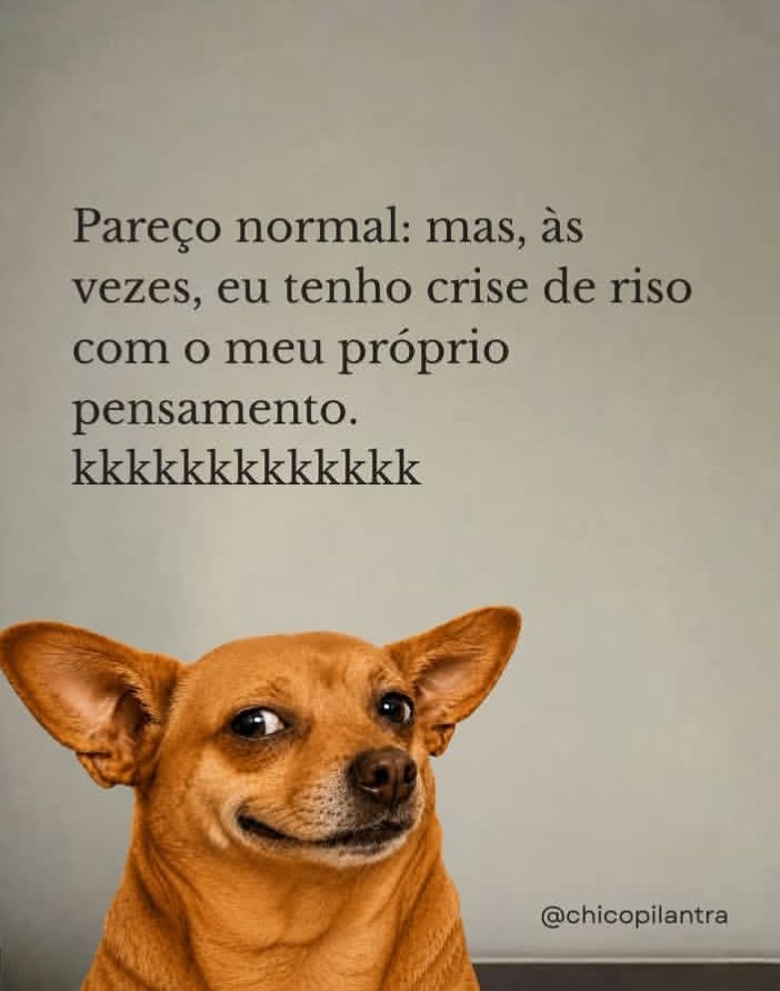 Privacidades's tweet photo. https://t.co/6P8smOaCgj