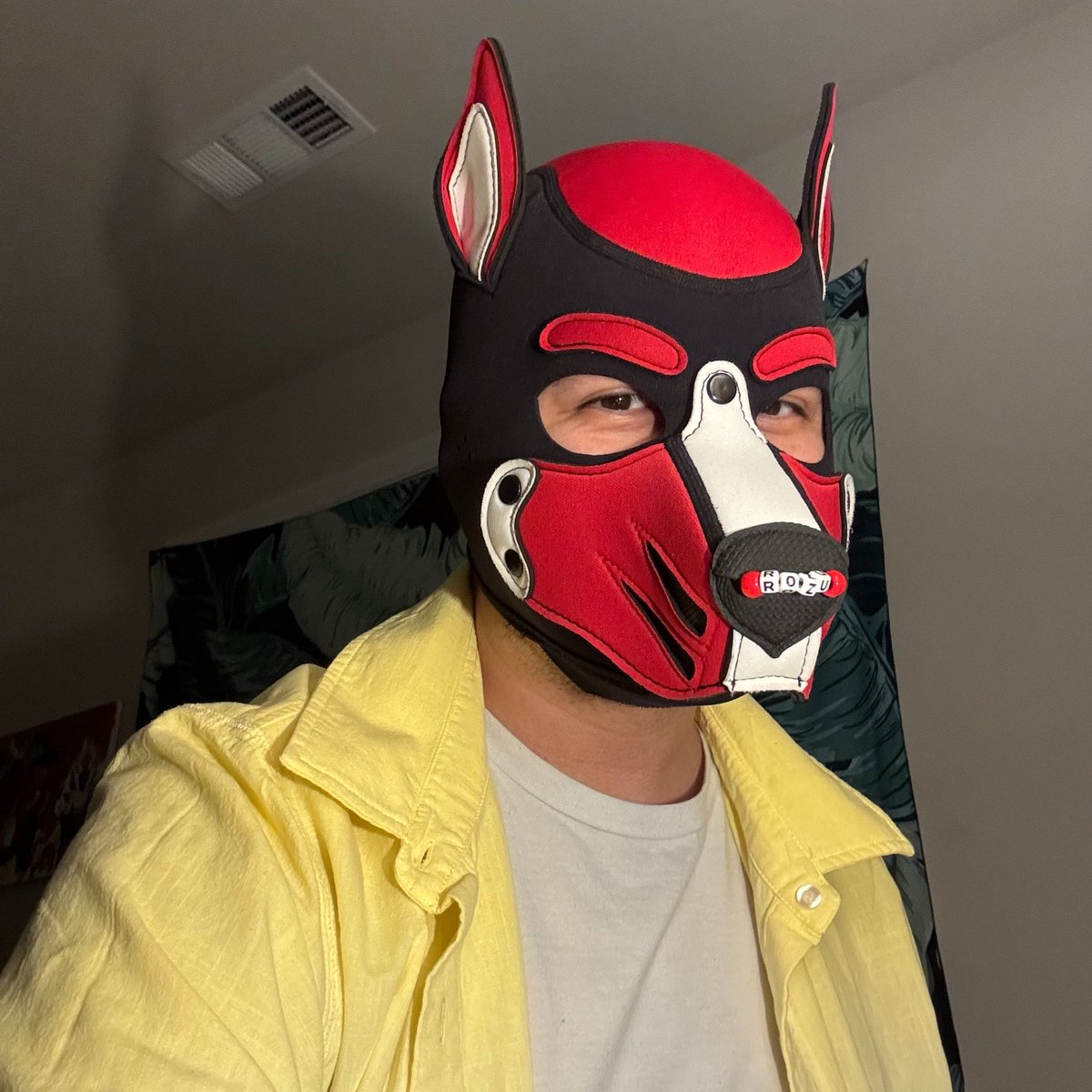 ♦️ Pup Rozu ♦️ tweet media