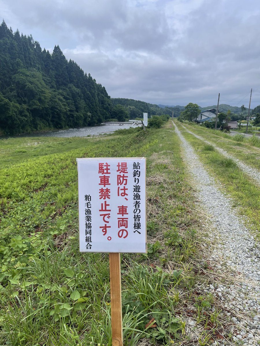 yuuyuumarunao's tweet photo. 【鮎釣りを楽しむ皆様へ】
いつも藤琴川をご利用いただき、ありがとうございます。
皆様が気持ちよく鮎釣りを楽しめるよう、堤防への駐車はご遠慮くださいますようお願いいたします。皆様のご理解とご協力に、心より感謝いたします。 https://t.co/uwrcnYkZjs