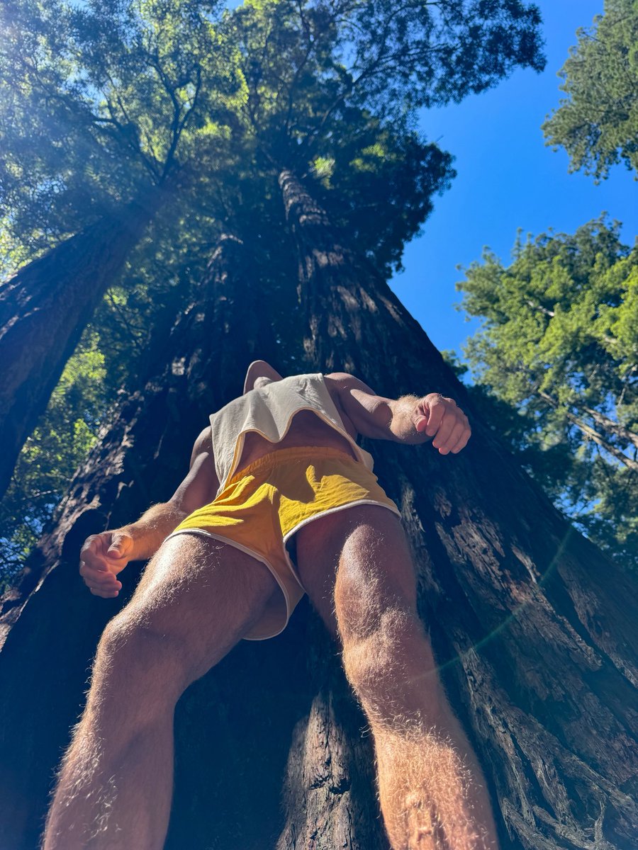 dwchasemodel's tweet photo. Humbled by some big trees
#redwoodsnationalpark #redwoods https://t.co/FxA4k6LKAp