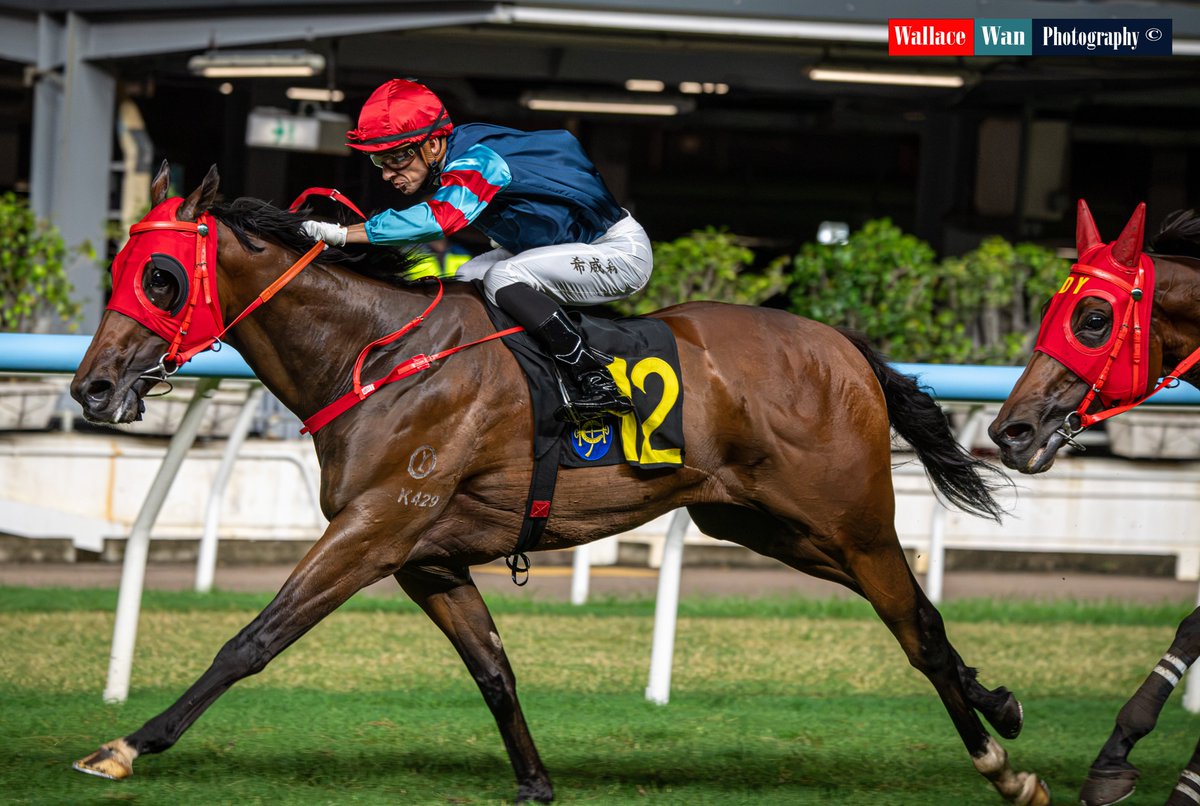 Wallacewanck's tweet photo. Winning Champion wins at the Happy Valley Season Finale under Lyle Hewitson.
@LyleHewitson 
#horseracingphotography #hkjcracing #sports https://t.co/iXUxjkwXSK