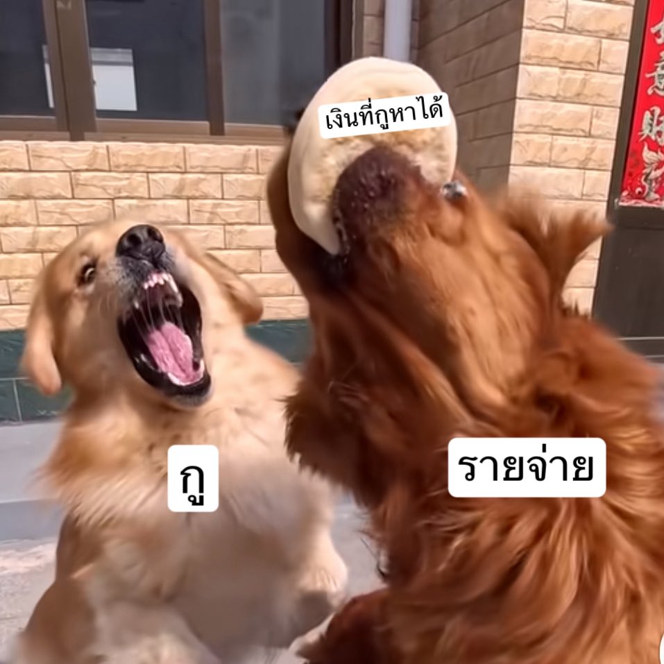 bbigkachu's tweet photo. ช่วยด้วยยย https://t.co/ALkvFvS41b