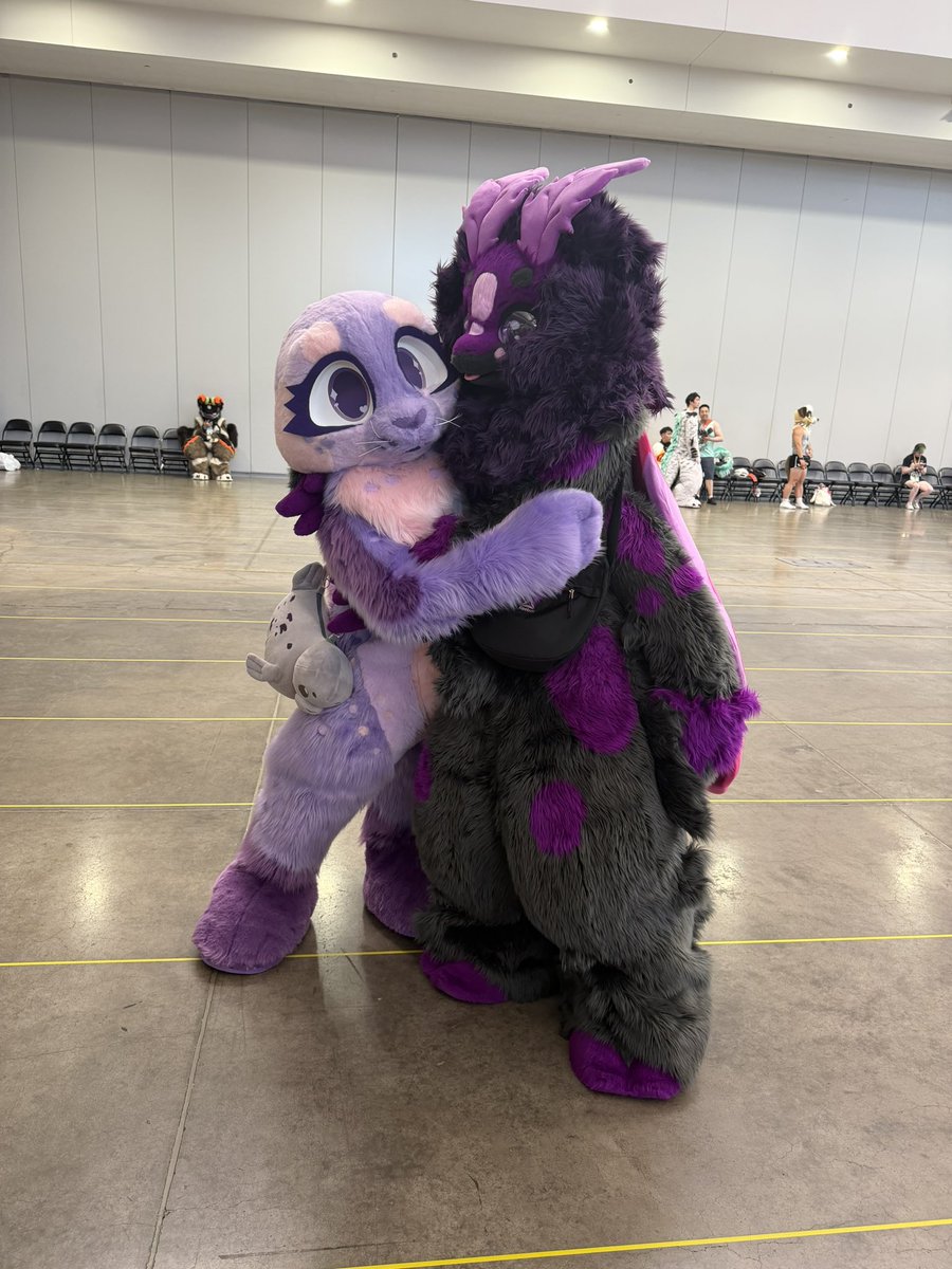 demicore1's tweet photo. an adorable purple seal at anthrocon!!! :O https://t.co/zpngCkc4RE